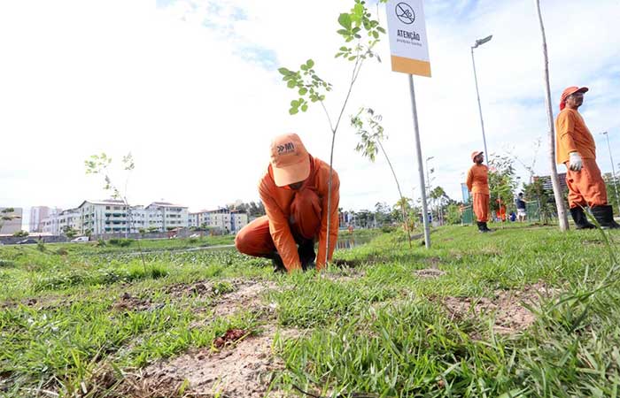 Arborização urbana esbarra na falta de continuidade das prefeituras
