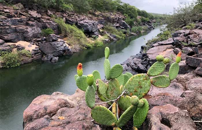 Milagre arrebatador da natureza, Cânion do Poti vive desafios