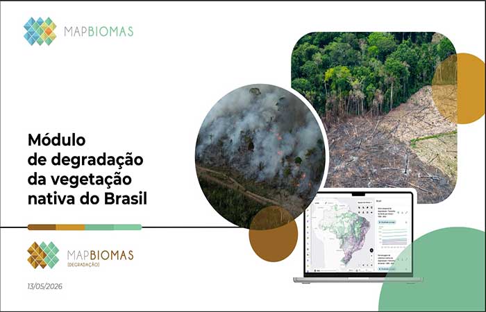 MapBiomas: fragmentação da vegetação nativa cresceu 163% em 38 anos