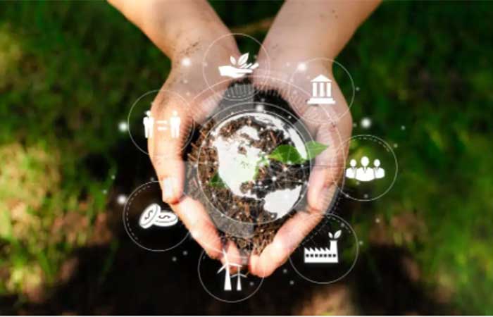 Economia Regenerativa começa em casa e pode transformar o futuro