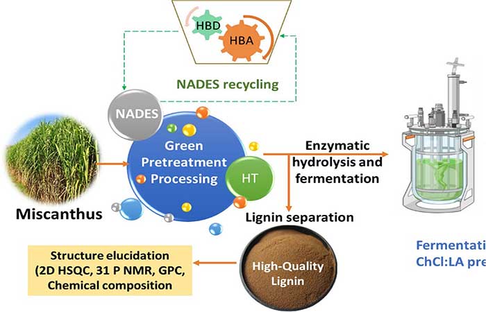 Nova rota química produz mais biocombustíveis das mesmas plantas