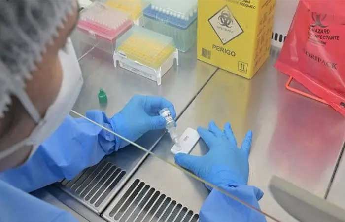 Hantavírus mata quase metade dos infectados no Brasil: onde há mais risco (e por que não tem a ver com surto em cruzeiro)