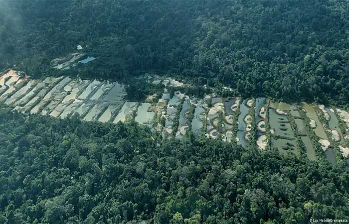 Ouro amazônico é “lavado” com conivência do sistema oficial