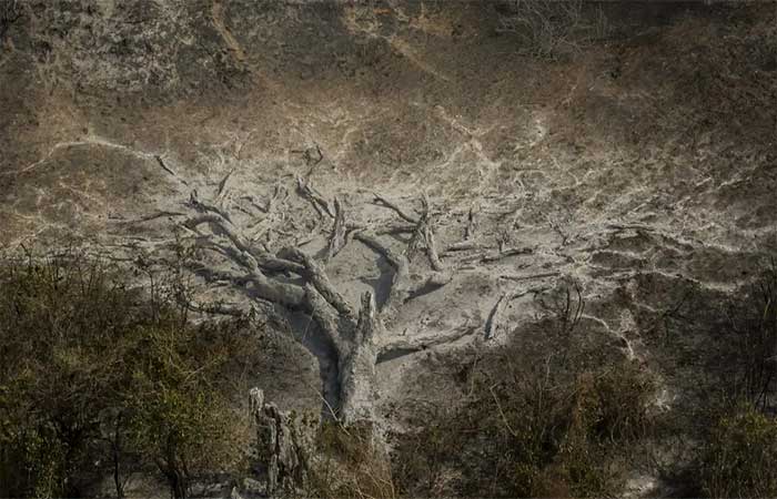 Mudanças climáticas já afetam 85% dos brasileiros, diz pesquisa