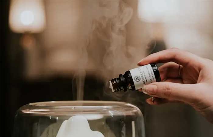 Óleo de patchouli contra mosquito: uma alternativa natural que funciona