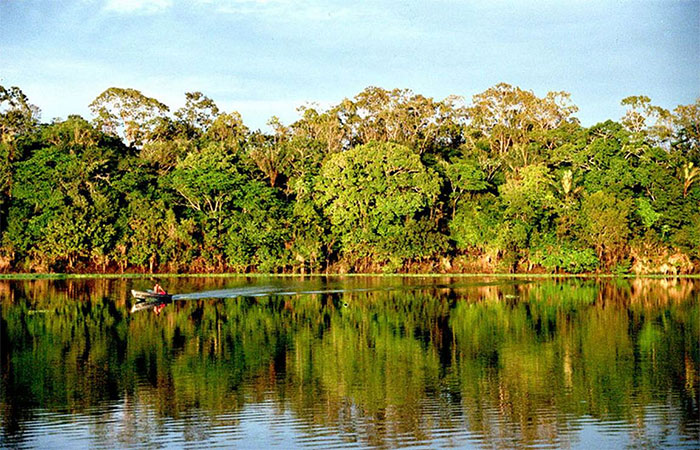Comunicação ambiental deve trabalhar para conscientizar a população pela preservação da natureza