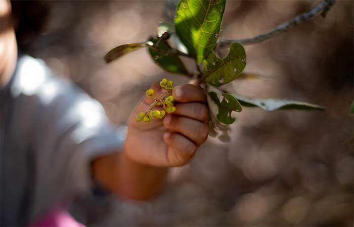 “Ponto de Virada da Amazônia” mostra que ainda há caminhos possíveis para salvar a floresta