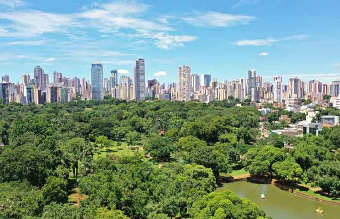 O Apartheid Ambiental: por que a vida urbana ainda tenta negar a natureza?