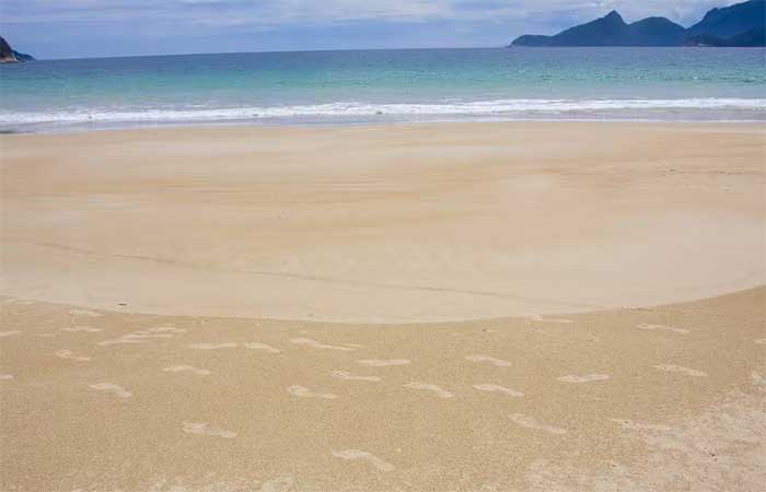 Por que levar areia da praia para casa é crime? Conheça infrações ambientais não tão óbvias