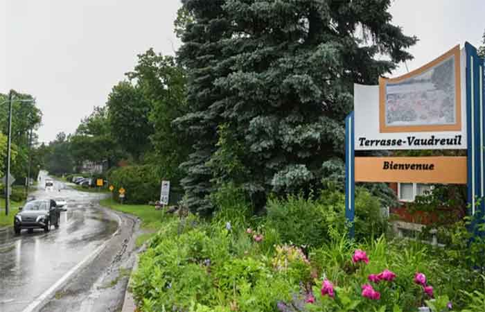 Cidade do Canadá reconhece árvores como seres vivos com direitos
