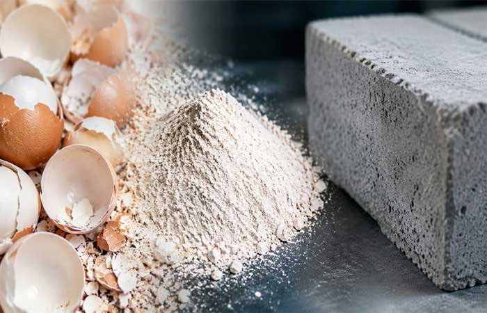 Cascas de ovo moídas entram no concreto, reduzem emissão de carbono, economizam cimento e demonstram inovação em materiais sustentáveis