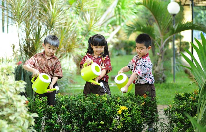 Semana do Meio Ambiente: 10 hábitos sustentáveis para ensinar às crianças