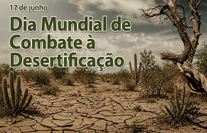 17 de junho – Dia Mundial de combate à desertificação