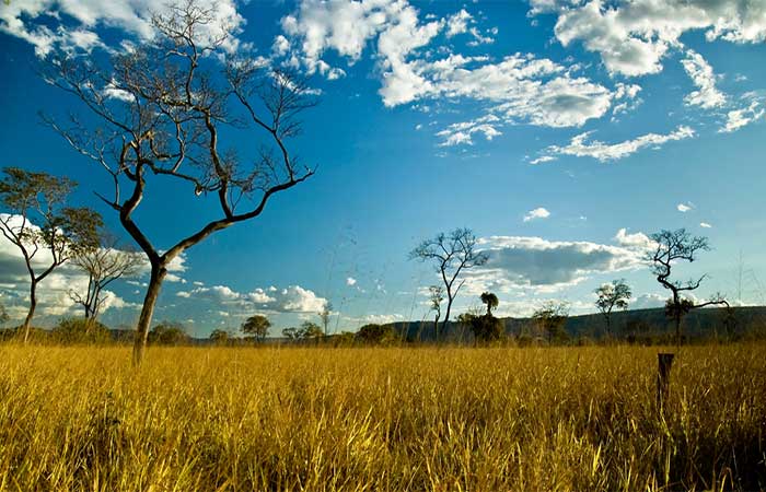 Mensagem do secretário-geral da ONU, António Guterres, para o Dia Mundial de Combate à Desertificação e à Seca, assinalado em 17 de junho