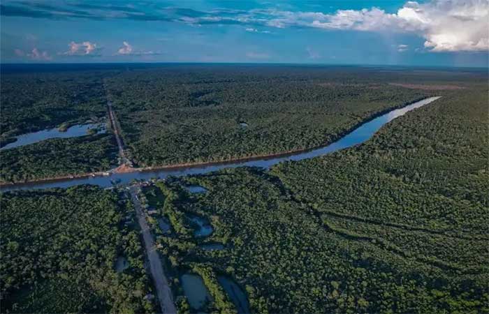 Brasil registra menor área desmatada em seis anos, segundo MapBiomas