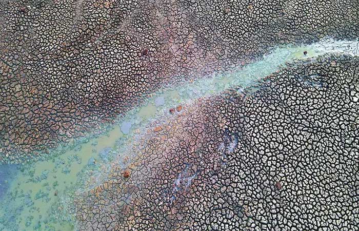 Especialistas alertam que o El Niño ameaça causar impactos “catastróficos” na vida selvagem e nas comunidades