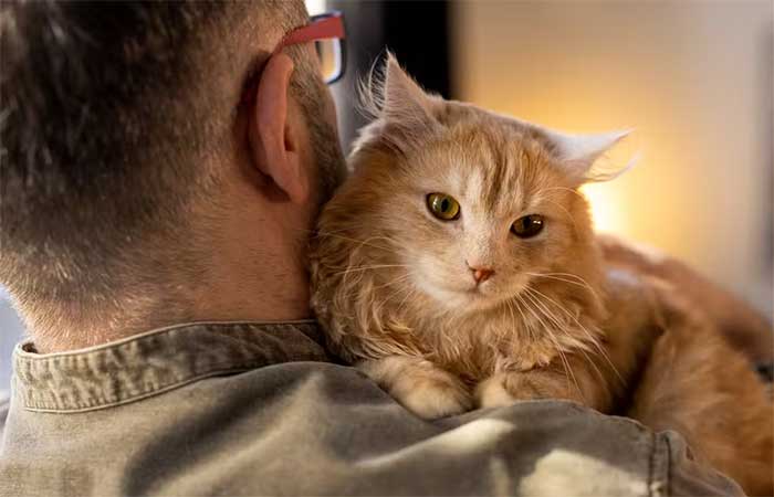 Abraçar o seu pet pode não ser tão bom pro estresse, aponta estudo