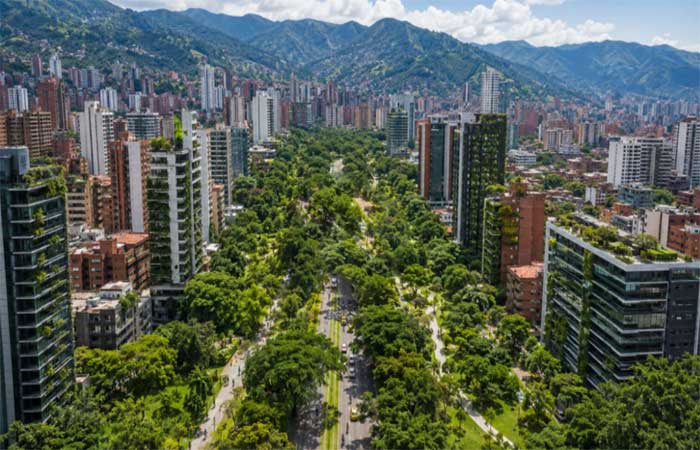 Uma cidade plantou 880 mil árvores e 2,5 milhões de plantas menores desde 2016, derrubou a temperatura em até 3°C em alguns pontos e ganhou um prêmio internacional por usar a vegetação para combater o calor urbano na Colômbia