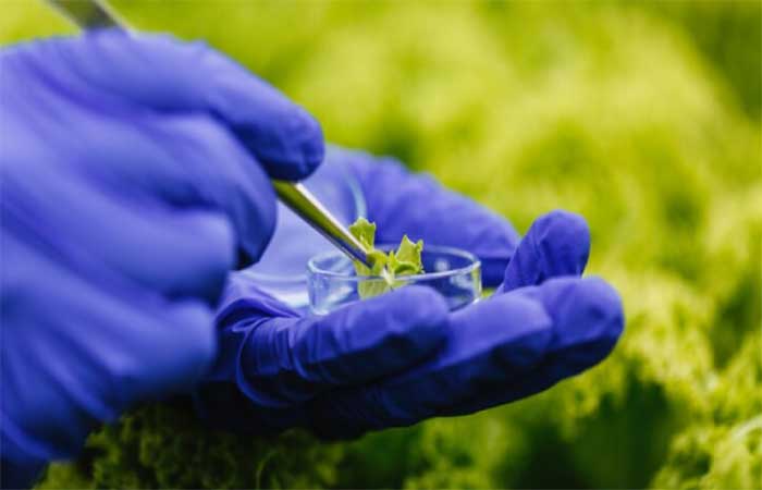 Curso gratuito apresenta os bioinsumos como aliados da agricultura sustentável
