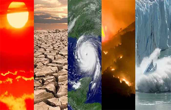 Nem toda mudança ameaça a vida, mas a velocidade dela, sim: o que as grandes extinções ensinam sobre um planeta em rápida transformação
