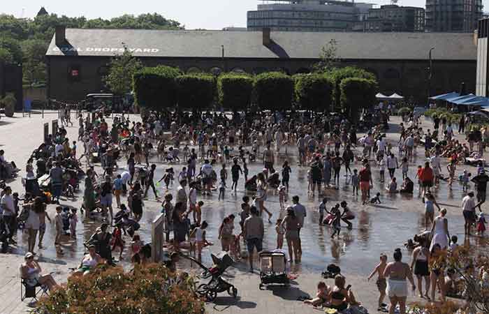 Por que a governança ambiental precisa mudar?