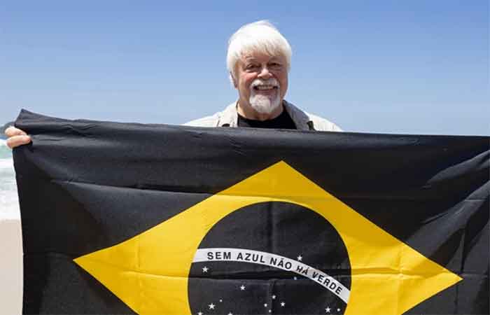 Campanha que ajudou a impulsionar criação da maior área marinha protegida do Brasil é premiada em Cannes