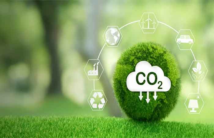 Mercado de Carbono: a hora de aproveitar as oportunidades para o Brasil