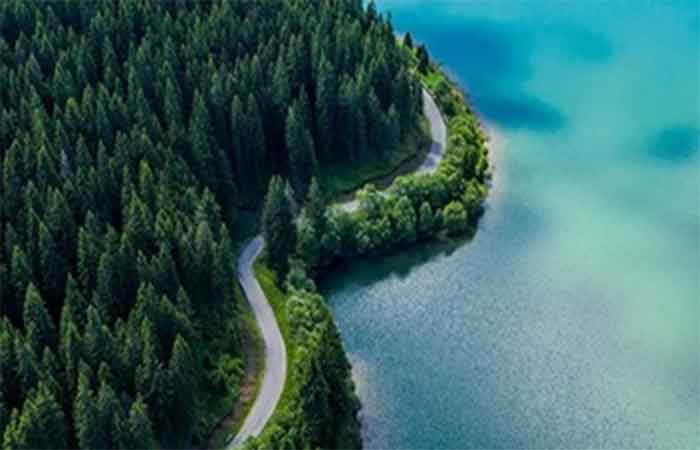 Valmet associa estratégia climática ao crescimento e amplia foco em soluções de baixo carbono