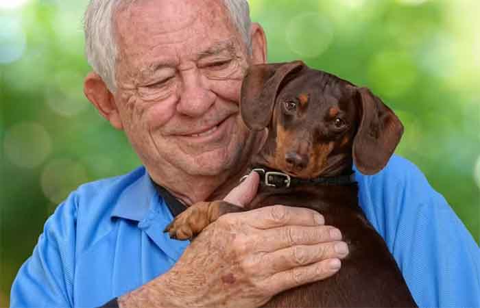Mais do que companhia: cães podem ajudar a preservar a saúde do cérebro na terceira idade