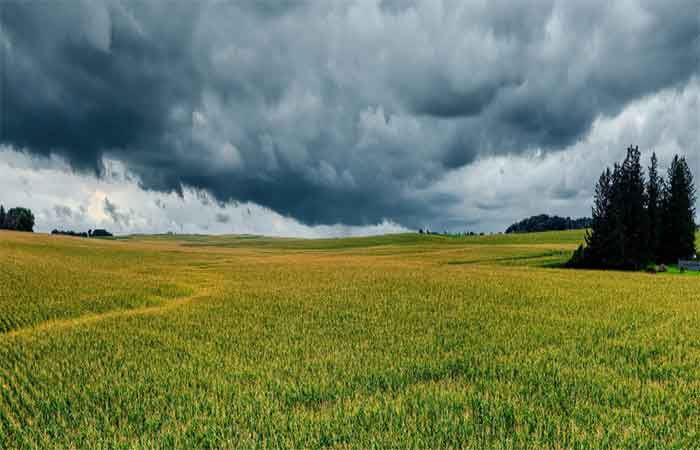 “Super El Niño” pode causar choque nos preços dos alimentos até 2028