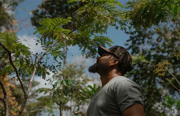 Projeto em Abrolhos planta mais de 2 milhões de mudas da Mata Atlântica e transforma o futuro de jovens