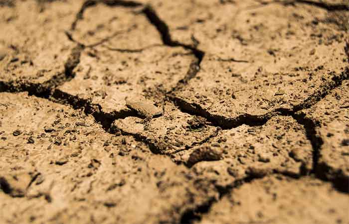 Nem toda mudança ameaça a vida, mas a velocidade dela, sim: o que as grandes extinções ensinam sobre um planeta em rápida transformação