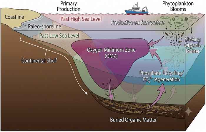 Terra possui um termostato natural baseado no fosfato