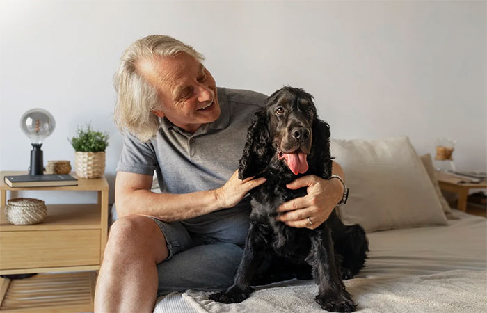 Conviver com cães e gatos pode ajudar na regulação emocional e no combate ao estresse