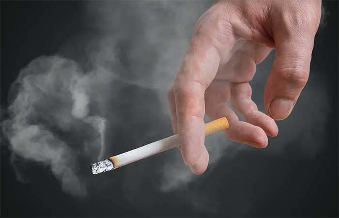 Cigarro dentro de casa expõe cães e gatos a toxinas e aumenta risco de doenças graves