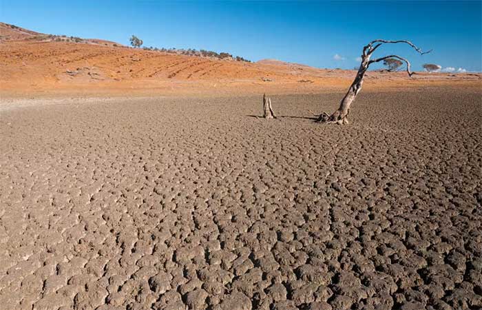Dezenas de organizações e institutos se unem para coordenar ações diante de possível ‘Super El Niño’