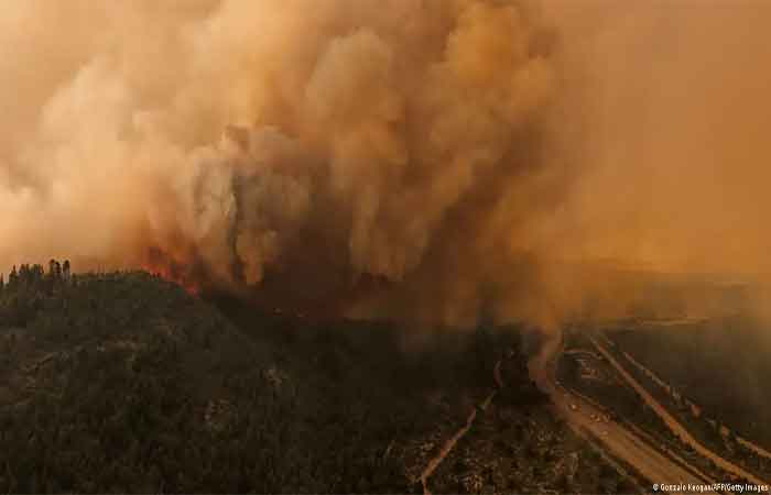 Fumaça de incêndios florestais prejudica saúde a longo prazo