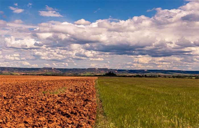 Brasil perde 14 pontos de vegetação nativa em 41 anos e fica mais exposto ao El Niño