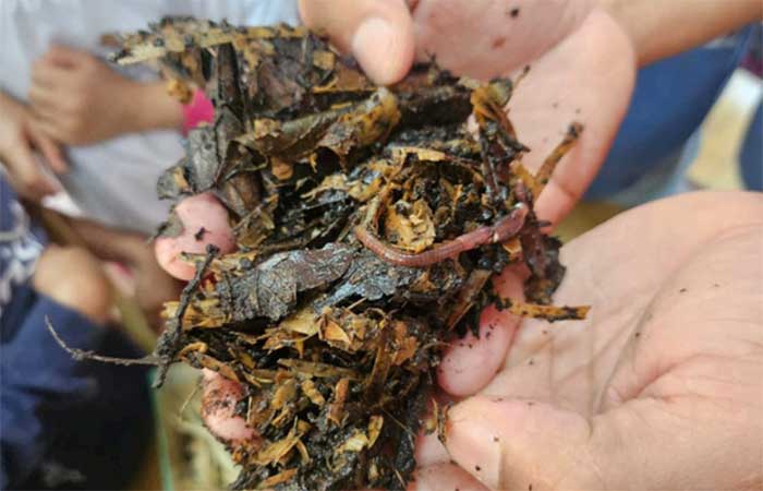 Estudantes brasileiros promovem ações para investigar as mudanças climáticas