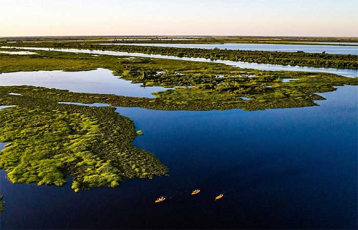 Pantanal brasileiro perdeu cerca de 80% da água superficial em 40 anos, aponta pesquisa