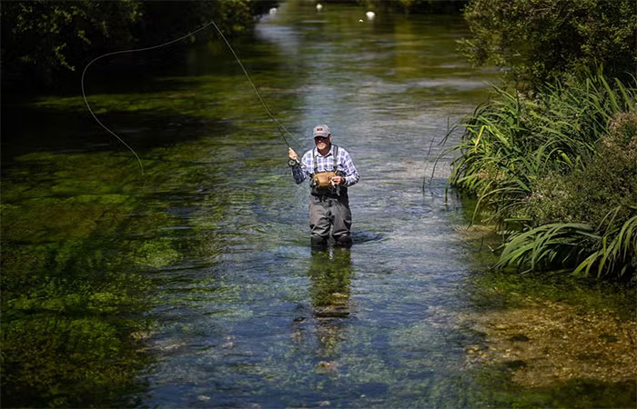 ‘Tesouros’ de rios ingleses, trutas e salmões estão ameaçados por mudanças climáticas