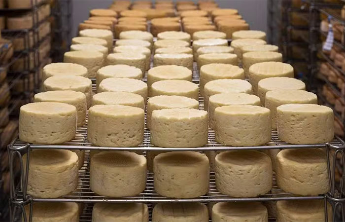 A gordura dos alimentos derivados do leite faz bem ao coração, aponta estudo australiano; entenda