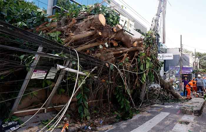 Ventania em RJ, SP e RS expõe falhas na resposta a extremos climáticos