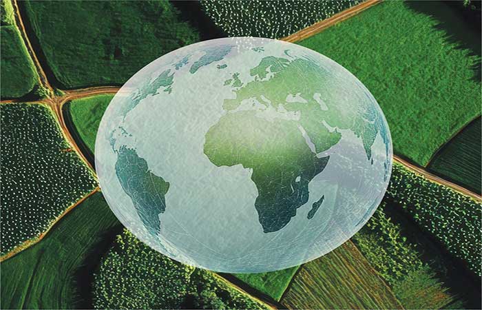 Metade dos pequenos agricultores pode alimentar humanidade e restaurar biodiversidade