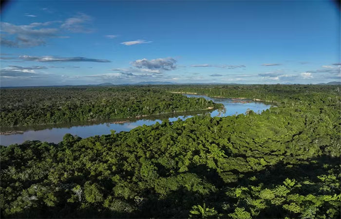 No coração da Amazônia, ZEG usa IA para detectar incêndios e gerar renda com a floresta em pé