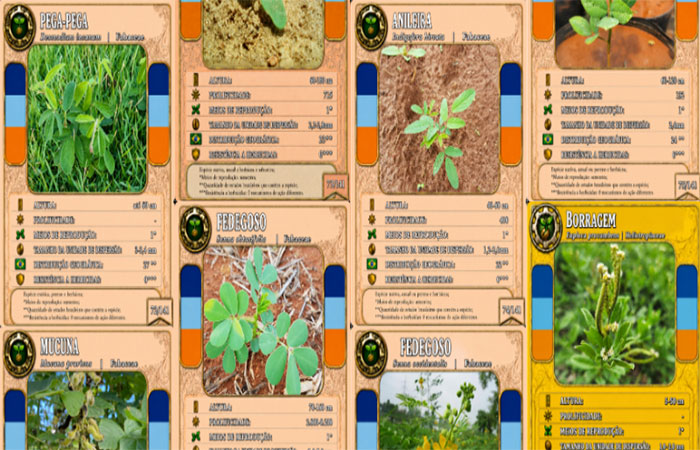 Jogo de cartas explica a ciência sobre plantas daninhas e manejo sustentável na agricultura
