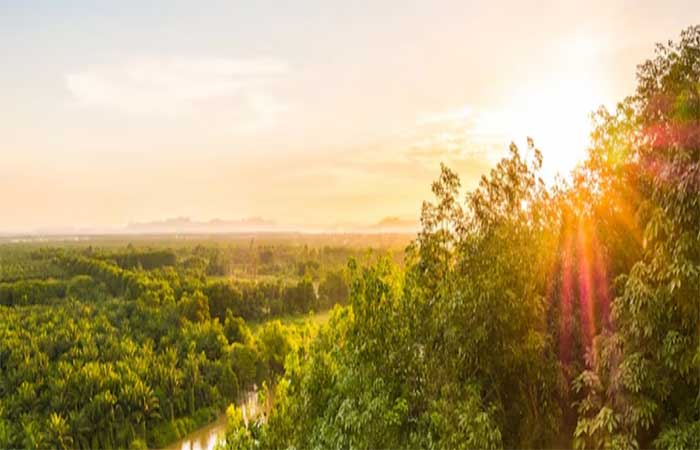 Lei que garante direito de crianças e adolescentes à natureza é sancionada