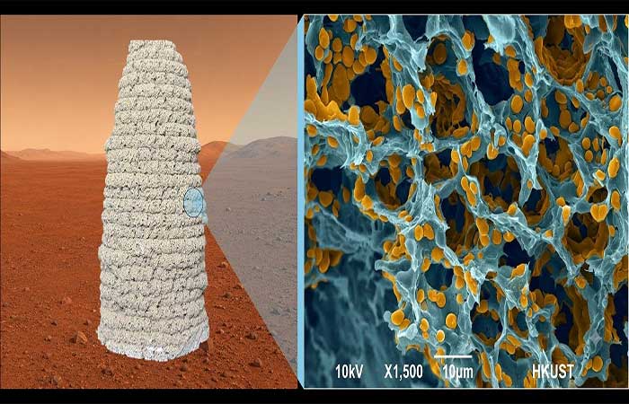 Em vez de tijolos e cimento, astronautas levarão gelatina e fermento para Marte