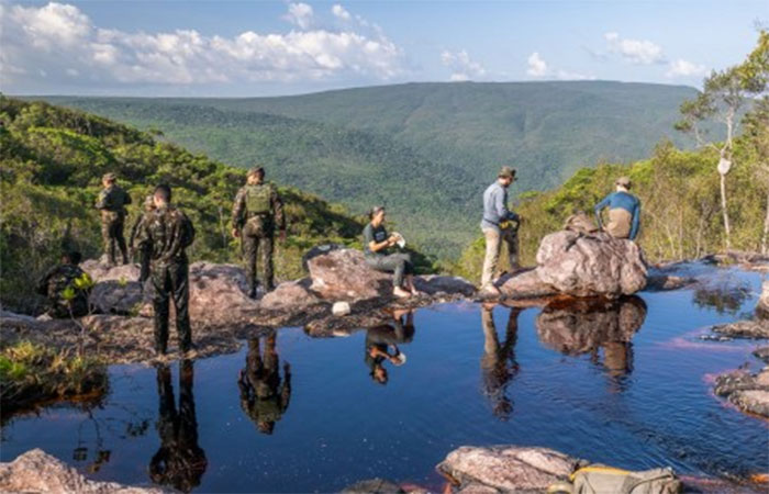 Do Aracá ao Aracazinho: expedição científica coleta dezenas de espécies possivelmente novas na Amazônia