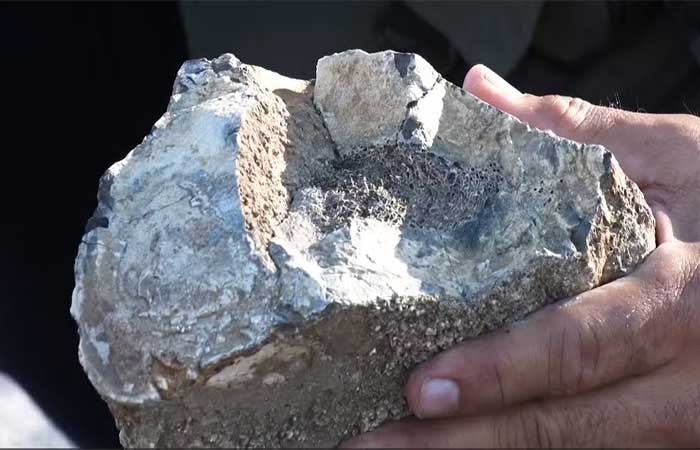 Seca em lagoa revela fósseis de animais pré-históricos e pinturas rupestres de 10 mil anos em Caruaru